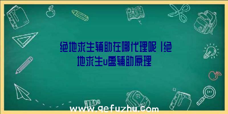 「绝地求生辅助在哪代理呢」|绝地求生u盘辅助原理